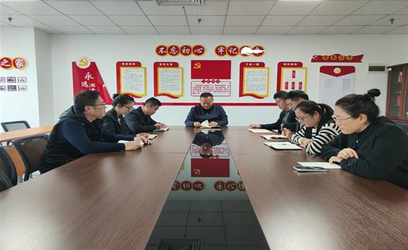 党建引领聚合力 头雁领航促转型——成人小说
党委“头雁领航”计划工作成效（七）