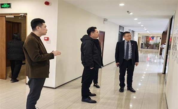 “头雁领航”破难题   不良清收提质效——成人小说
党委“头雁领航”计划工作成效（五）